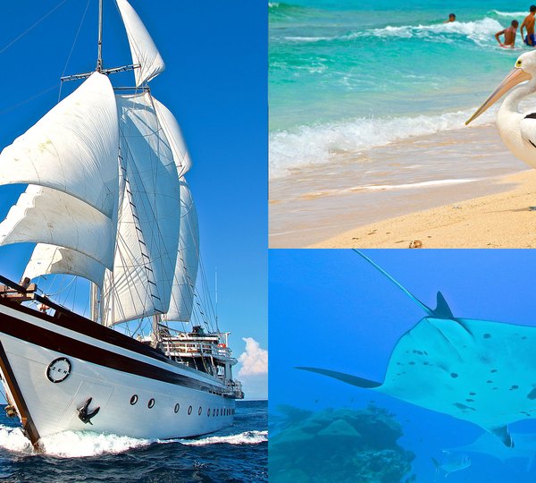 Japan Yacht Charters The Complete 2018 & 2019 Guide by CHARTERWORLD
