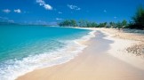 Tortola Tortola