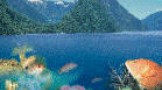 Fiordland