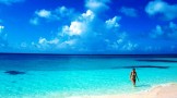 Anguilla Anguilla
