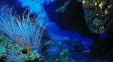 Cairns & the Great Barrier Reef