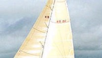 condor1
