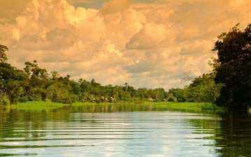 The Amazon (2)