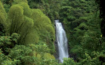 The Amazon (3)