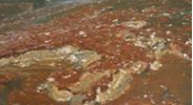 Patch of thick oil Patch of thick oil
