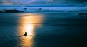Antarctica