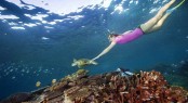 Lady Elliot Island turtle & snorkeller Lady Elliot Island turtle & snorkeller