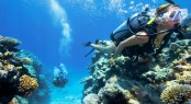 Lizard Island scuba diving Lizard Island scuba diving