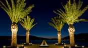 Jetty 2 with palm trees and fountains at dusk