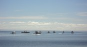 Boats Anchored off Reevesby Island