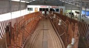 Atoll Yachts new 111ft yacht Atol III â The new superyacht builder in Brunei