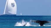 Win an Audi at Audi Hamilton Island Race Week - Credit Audi Hamilton Island Race Week