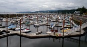 Bellingham Marine improves Canada's Powell River Marina &acirc;�� expand mooring space