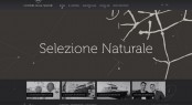 Screenshot of the newly launched Cantiere delle Marche website