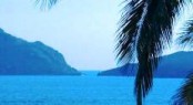 Caribbean