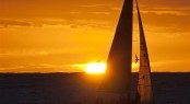 KNEE DEEP and albatross catch the sunset off Tasman Island Photo D. Forster