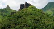 Beautiful TAHITI - Photo by Tim McKenna Photography© Beautiful TAHITI - Photo by Tim McKenna Photography©