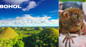 Bohol