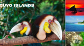 Cuyo Islands