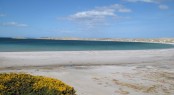 Falkland Islands