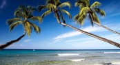 Barbados Beach