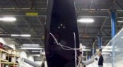 Hall Spars four-spreader mast for the 50m sailing yacht Wally 164