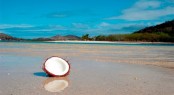 FIJI