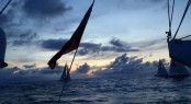 Race 11 from Panama to New York started