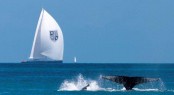 Audi Hamilton Island Race Week
