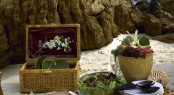 Picnic on the beach - Silolona yacht Picnic on the beach - Silolona yacht