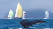 A whale and cruising fleet at AHIRW 2012 - Photo credit: Andrea Francolini/Audi