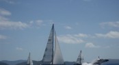 Whale Leap - Audi Hamilton Island Race Week