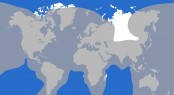 LinkScape - Global Coverage Map