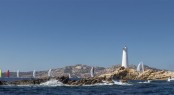 Swan fleet around Monaci - Photo Carlo Borlenghi