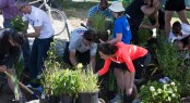 ACEA invites its fans to support initiatives to deliver a Clean Regatta