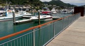 BMI1301_Picton