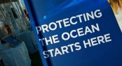 Clean Regattas program of Sailors for the Sea