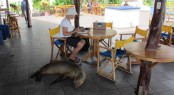 Oyster World Rally - Stopover in the Galapagos