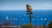 Antigua Sailing Week - Day two