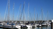 MDL's Hamble Point Marina
