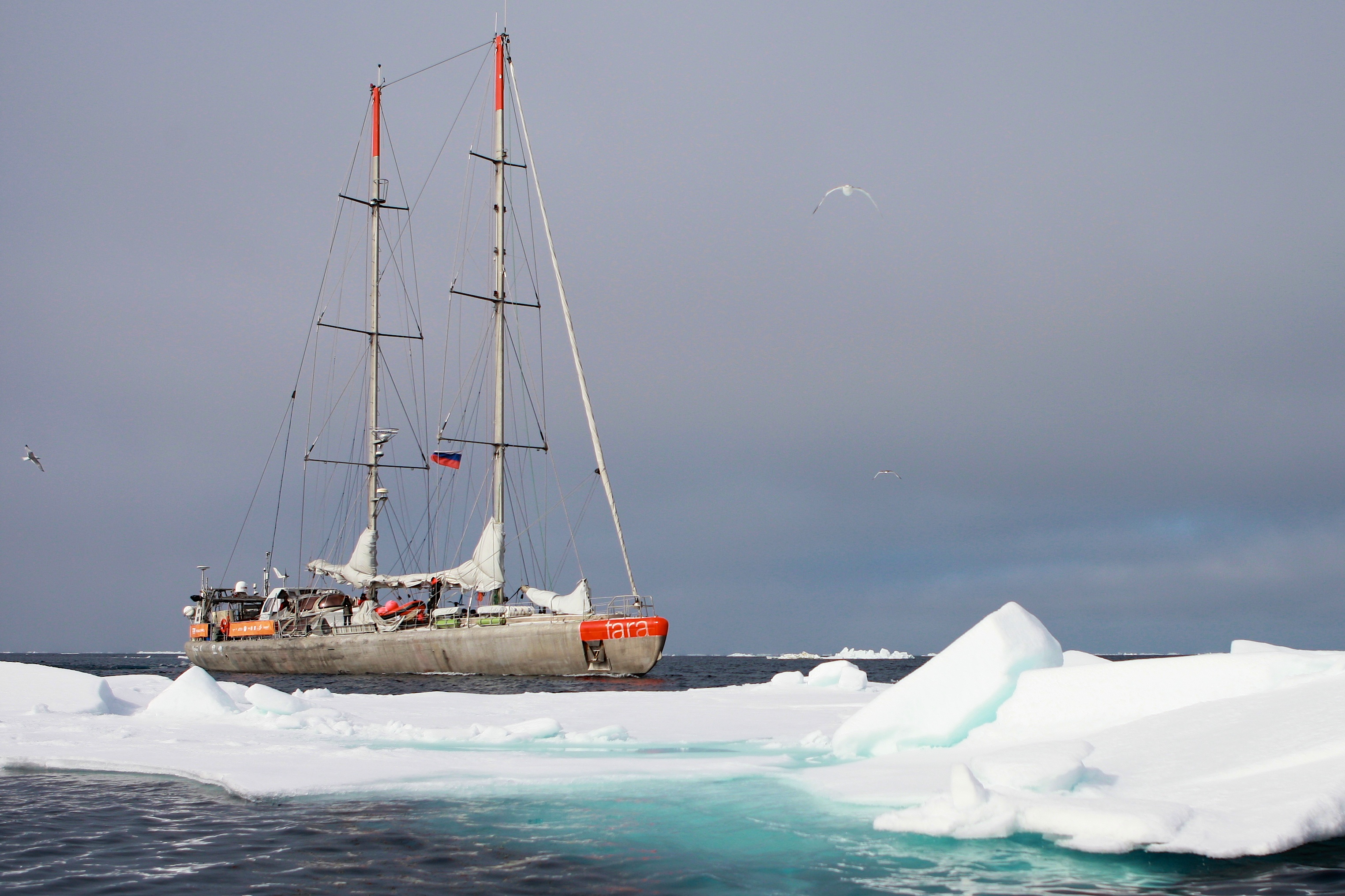 Expedition yacht Tara in the Arctic. Image credit to A. Deniaud/Tara