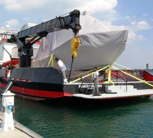 Peaceful Fish - Photo Credit Captain Tom