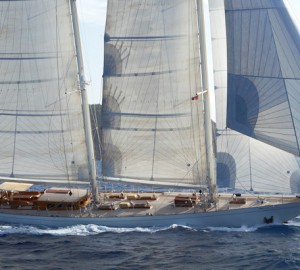 Windrose of Amsterdam