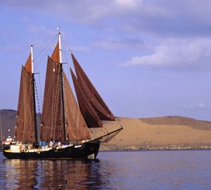 ADELAAR - Photo Credit ADELAAR