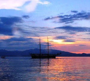 ADELAAR - Photo Credit ADELAAR