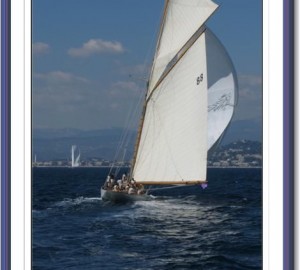 Moonbeam of Fife - Photo Credit - Gösta Odelberg