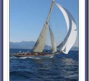 Moonbeam of Fife - Photo Credit - Gösta Odelberg