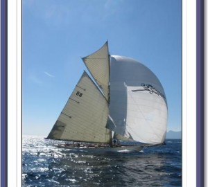 Moonbeam of Fife - Photo Credit - Gösta Odelberg