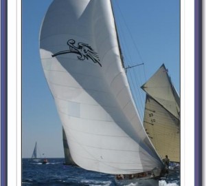 Moonbeam of Fife - Photo Credit - Gösta Odelberg