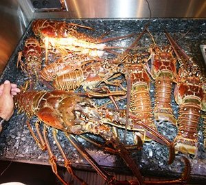 The 21m Yacht NAHEMA IV